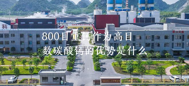800目重钙作为高目数碳酸钙的优势是什么